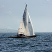 IMG_2020.JPG
