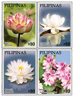 [image%255B3%255D.png]