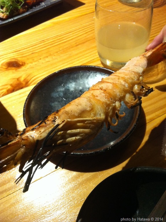 [IMG_620313.jpg]