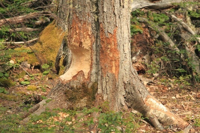 [IMG_7072%255B10%255D.jpg]