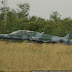 DSC09278.JPG