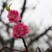 DSC_0802.jpg