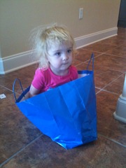 baby in a bag