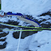DSC_0016.JPG