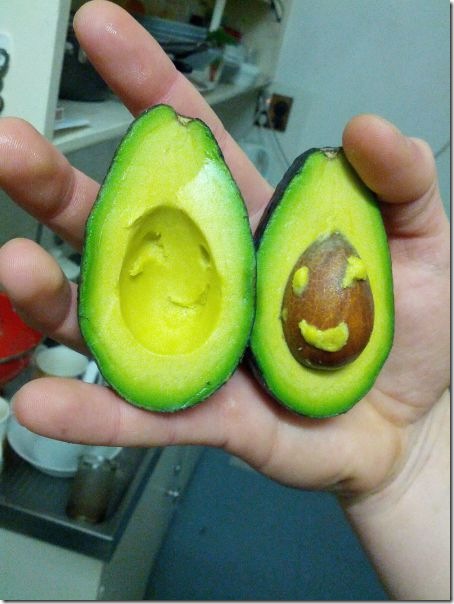viral-picdump-pics-35