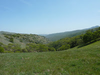 P1030935.JPG