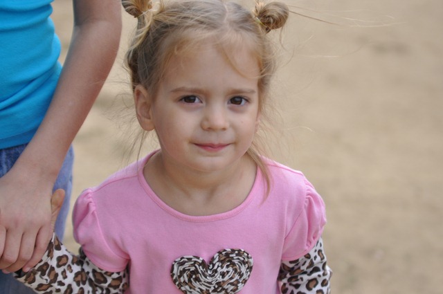 DSC_1213 DSC_1213