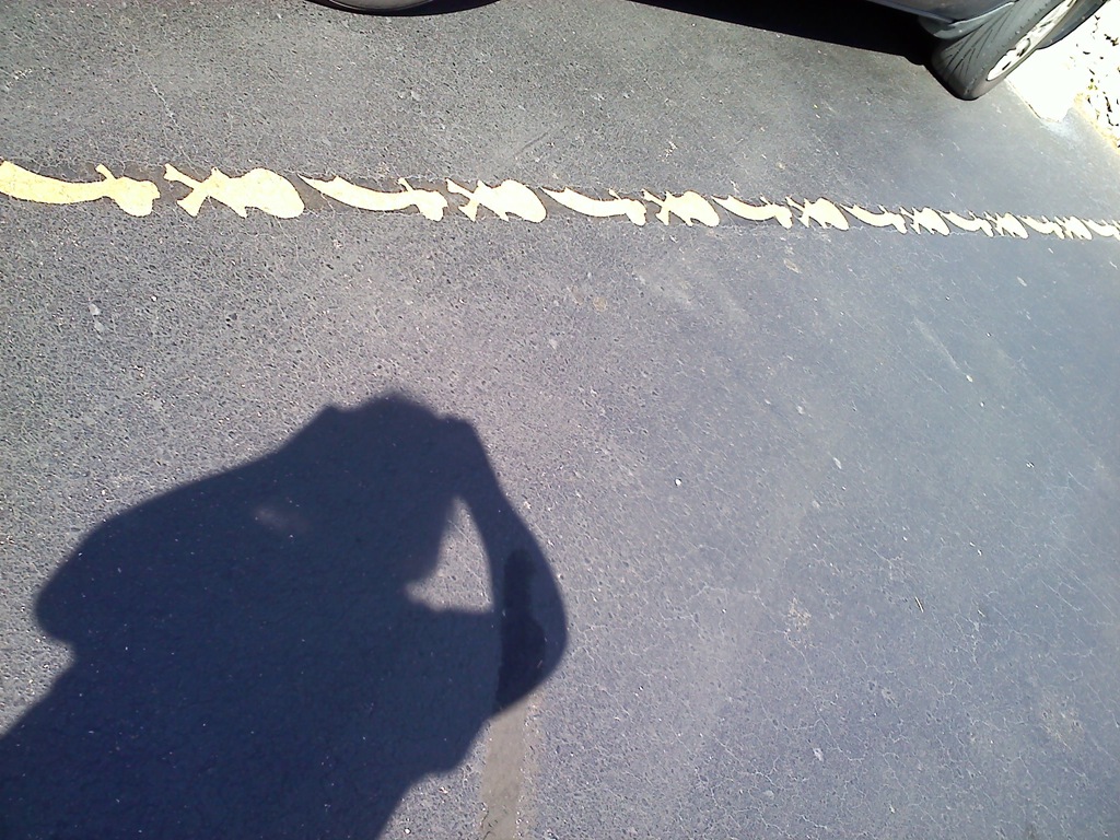 [20110601165731.jpg]