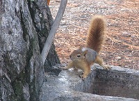 IMG_1146 IMG_1146