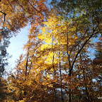 20091101 Allgaeu 0250 [640x480].JPG