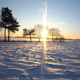 Sfeerfoto's