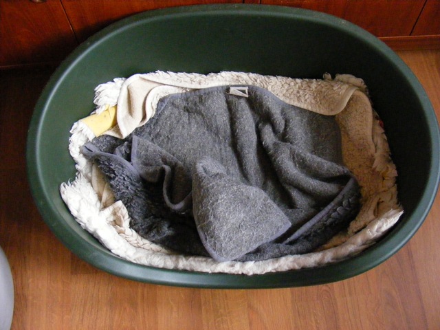 [empty%2520bed%255B3%255D.jpg]