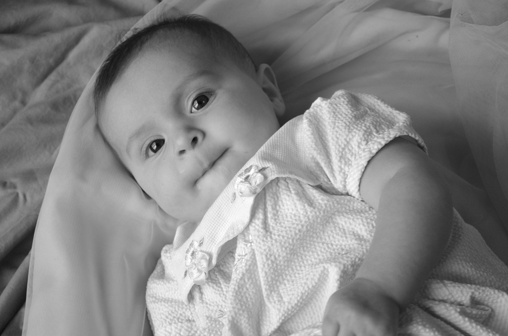 [DSC_5218%255B4%255D.jpg]