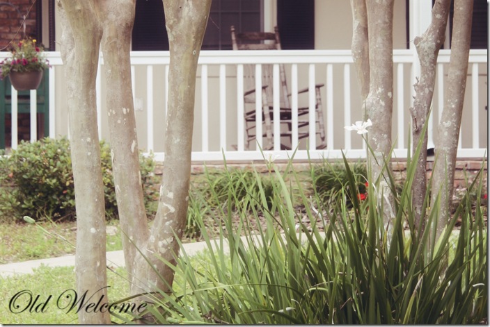 crepe myrtle porch rocker old welcome crepe myrtle porch rocker old welcome