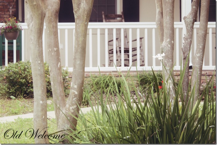 crepe myrtle porch rocker old welcome