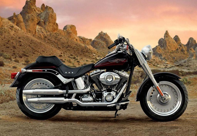 [Harley-Davidson-FLSTF-Fat-Boy-side-v.jpg]