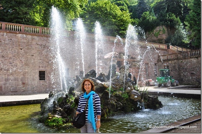 68-Heidelberg. Castillo. Jardines - DSC_0142