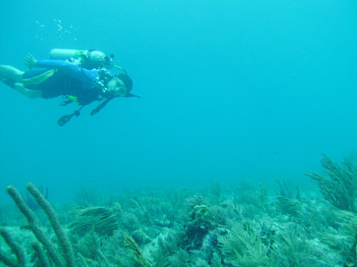 Laszlo slowly swimming over the reef