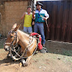 2EncontrodeMuladeiros-372.JPG