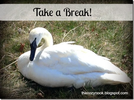 Take a Break - The Cozy Nook