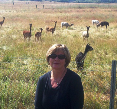 pam and alpacas on sheep barn road