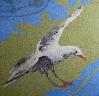 seagull_rev.jpg