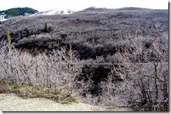 may2011lambscanyon43