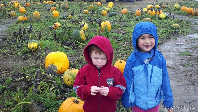 [pumpkinpatch%255B14%255D.jpg]