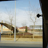 IMGP7439.JPG