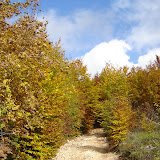 Vojnik - Novembar 2010