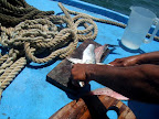 Step 3: Clean and skin the fish.