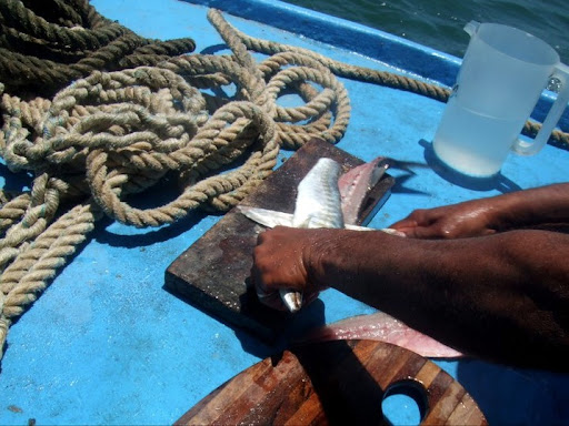 Step 3: Clean and skin the fish.