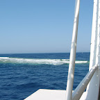Elphinstone Reef