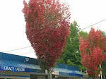 2006 - Seattle Windows Tour