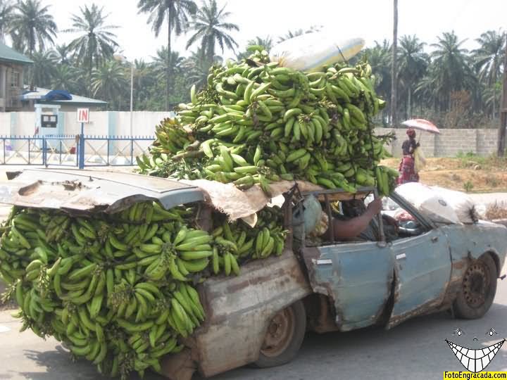 Vendo bananas