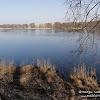 dsc06924.jpg