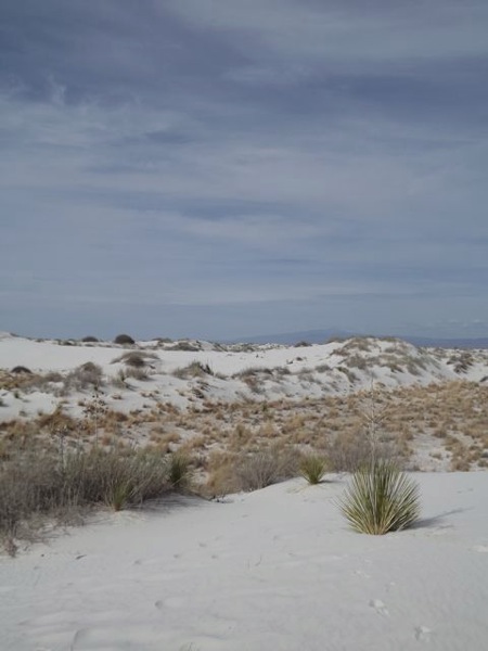 NM white sand2