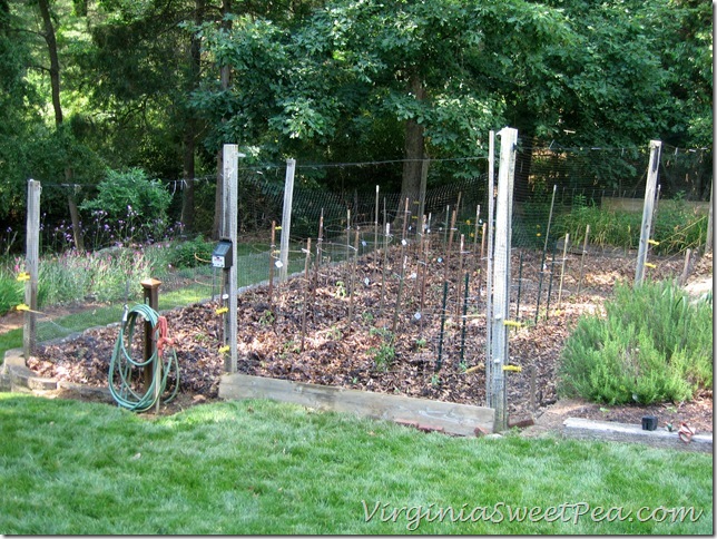 Garden Planted Garden Planted