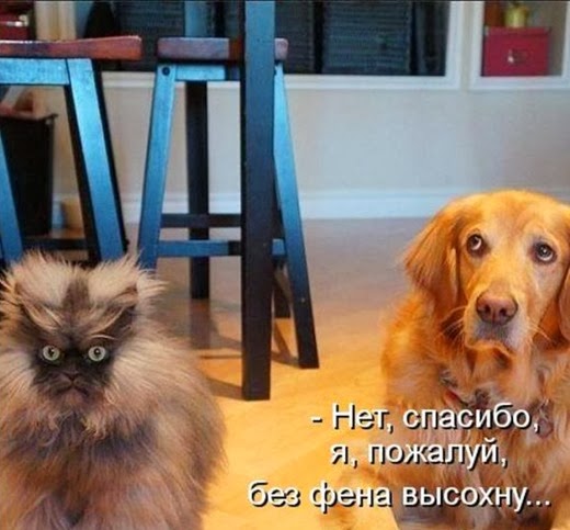 [e0c1ed3f02394a9095c4d45060f_prev%255B8%255D.jpg]
