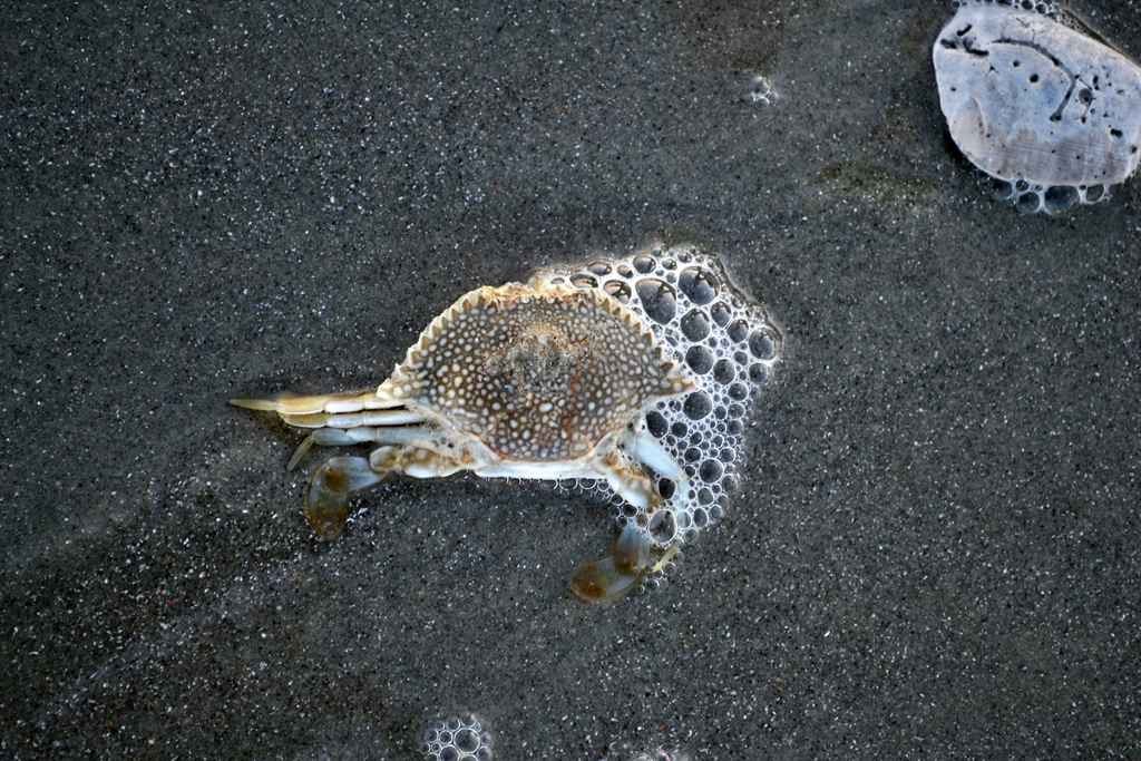 [DSC_0272_edited-14.png]