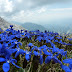 2011.05.24. - Stol