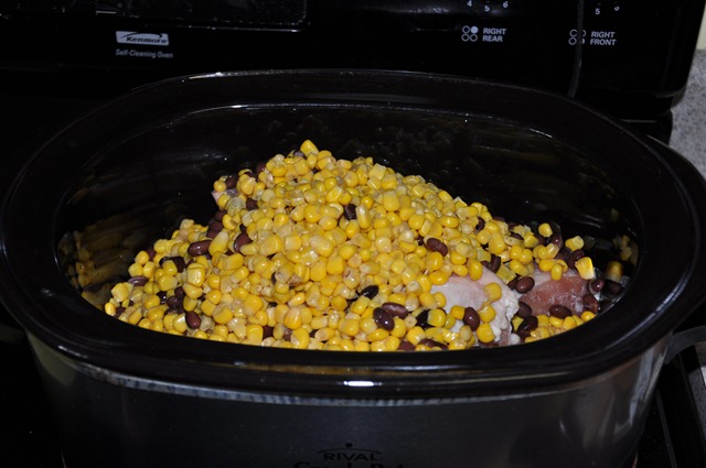 [chicken%2520crock%2520pot%2520%25284%2529%255B3%255D.jpg]
