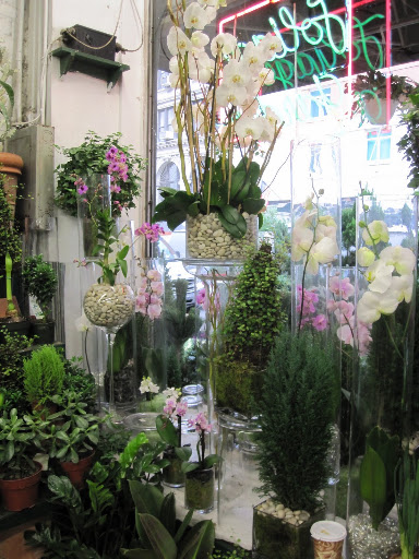 Here is a current window display.