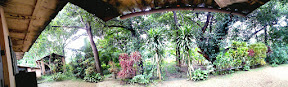 PANO_20120903_105918.jpg