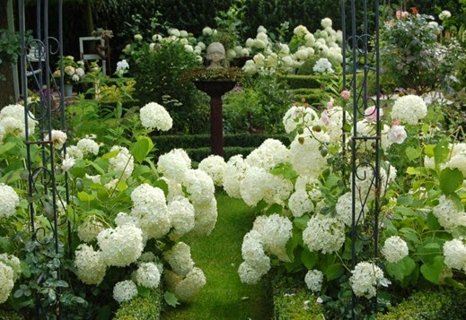 mmirenesgarten34 mmirenesgarten34