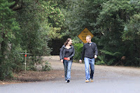 Walking pair