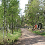 IMG_6541.JPG