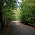 DSC_2756.JPG