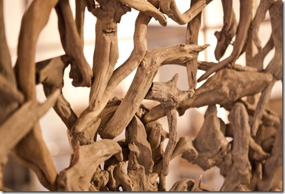driftwood