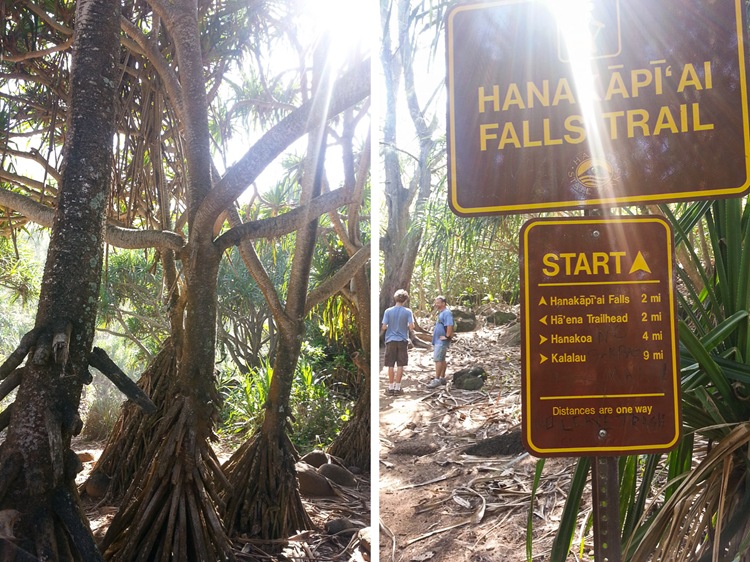 trail 7 trail 7